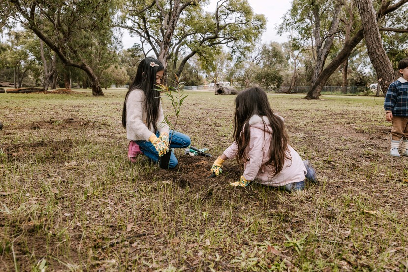 Two children planting seedlings in a reserve