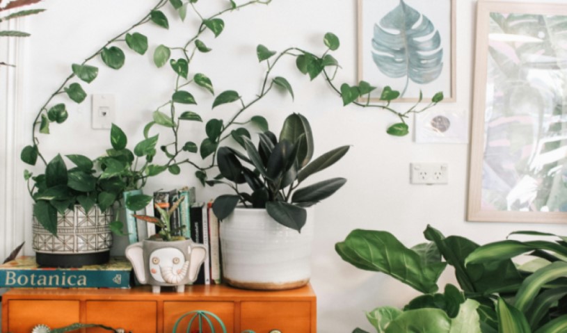 nature design interior
