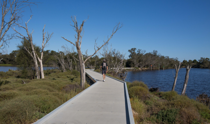 To rest as wind stirs the flooded gum leaves City of Mandurah To rest as wind stirs the flooded gum leaves City of Mandurah