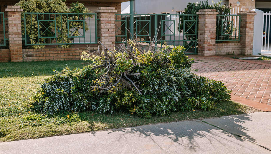Home City of Mandurah