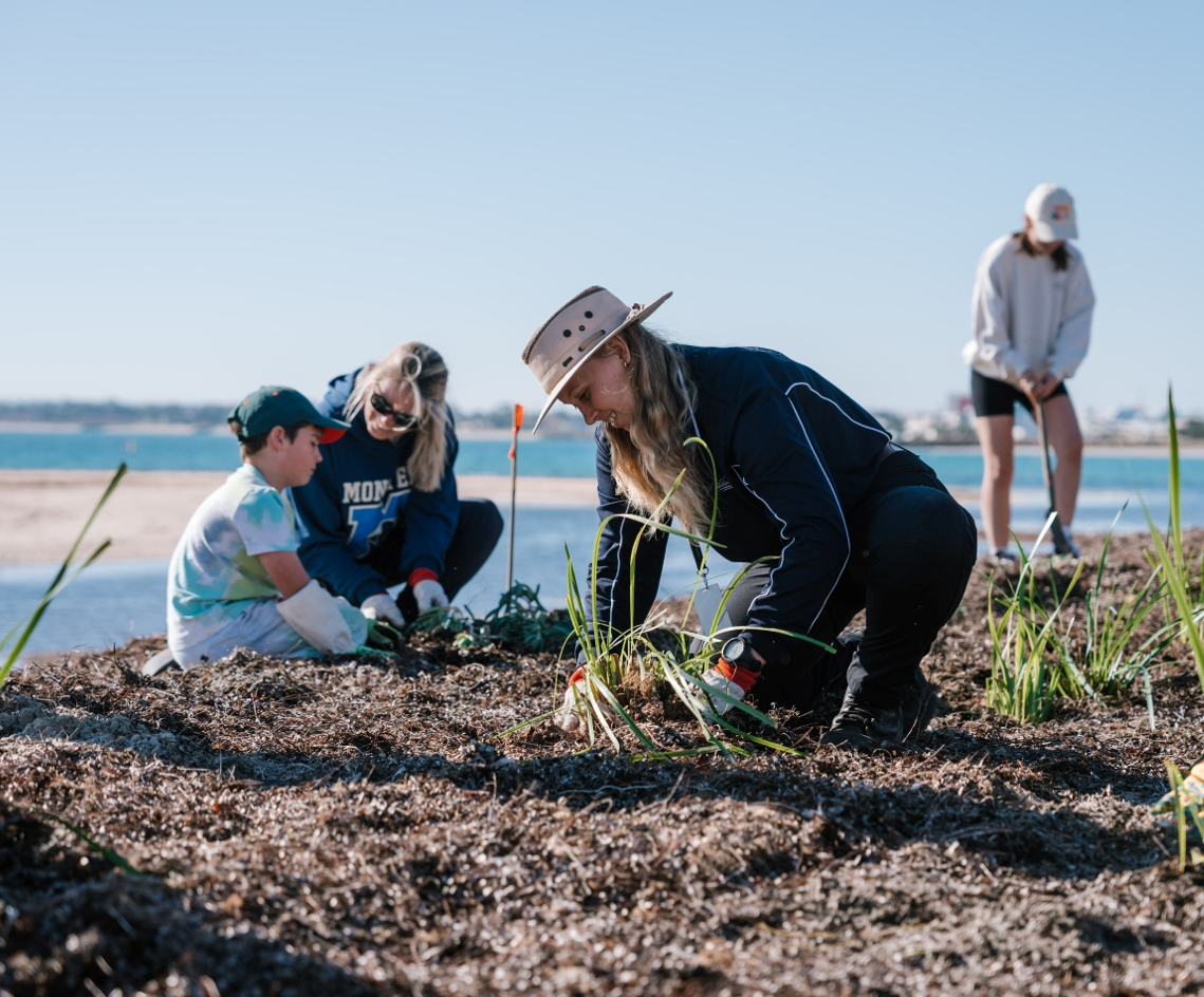 woman crouches to the ground to plant a tree, other people and waterways in background