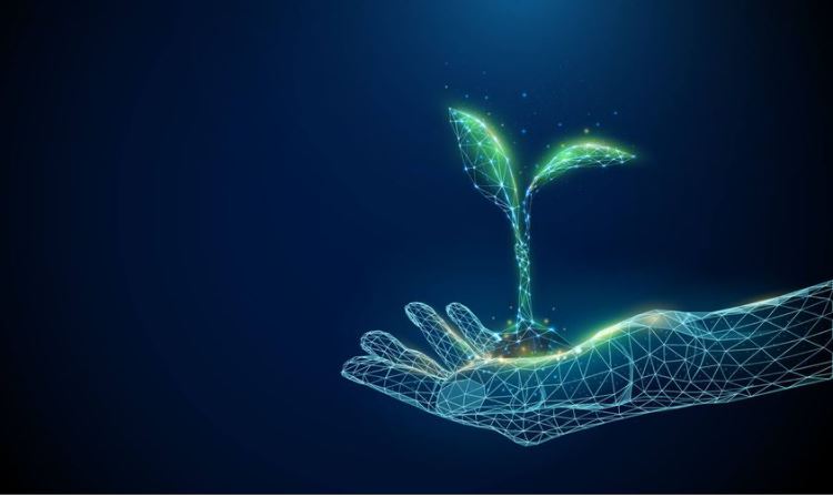 Digital illustration showing a hand holding a green seedling