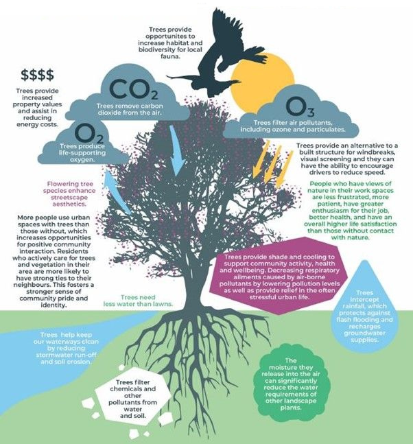 Retail large tree diagram