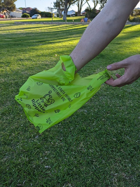 Dog poo bags in hand