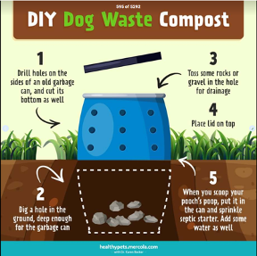 diy dog compost