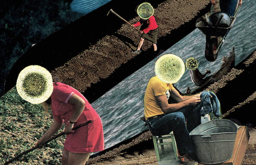 Art by Claire Pannell of Agronomy for Otherworlds