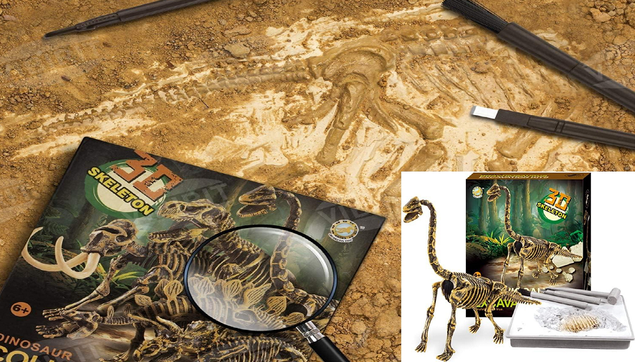 Archaeological Dig Kit Prize