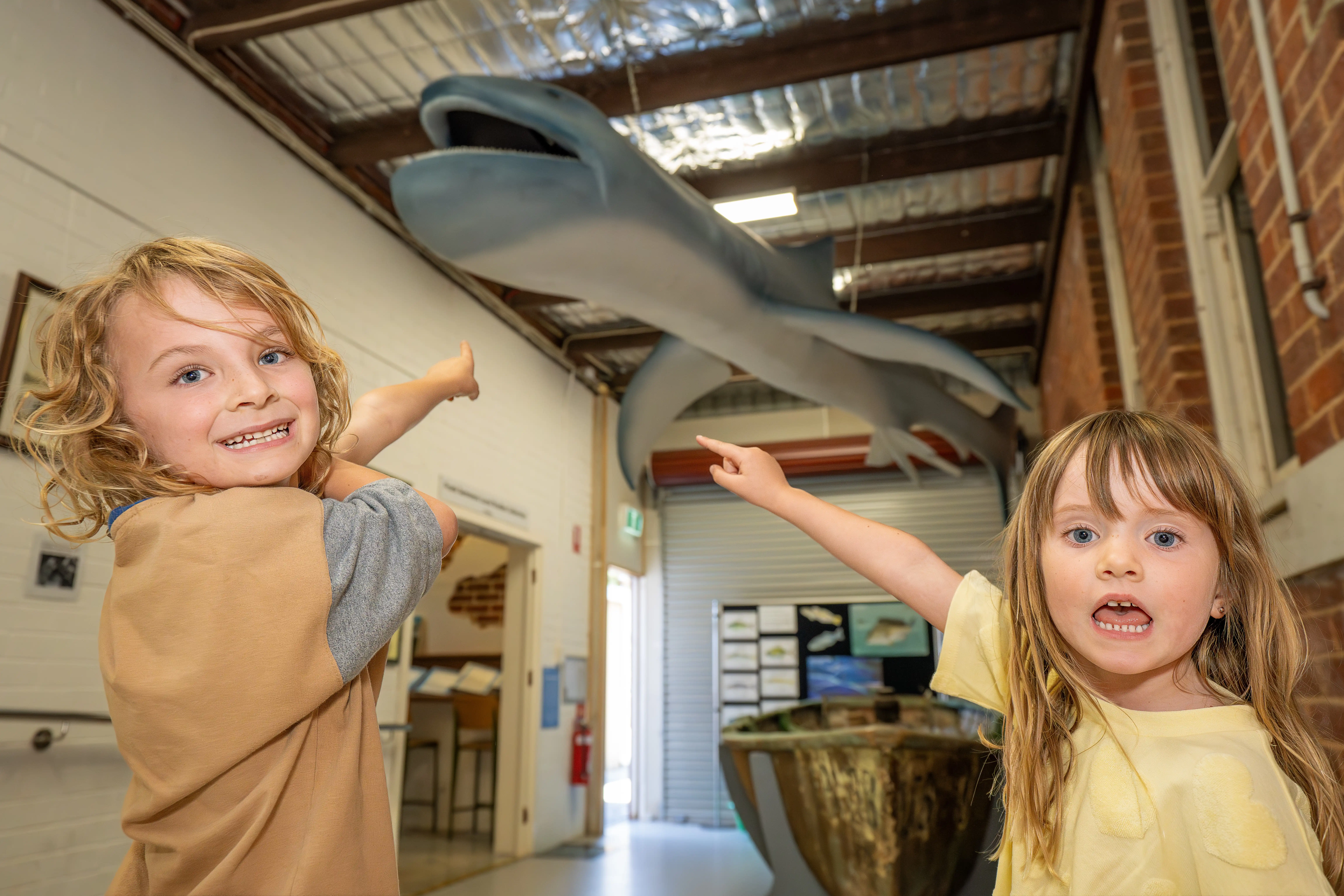 Children at museum pointing to a megamouth shark replica hanging from the ceiling.