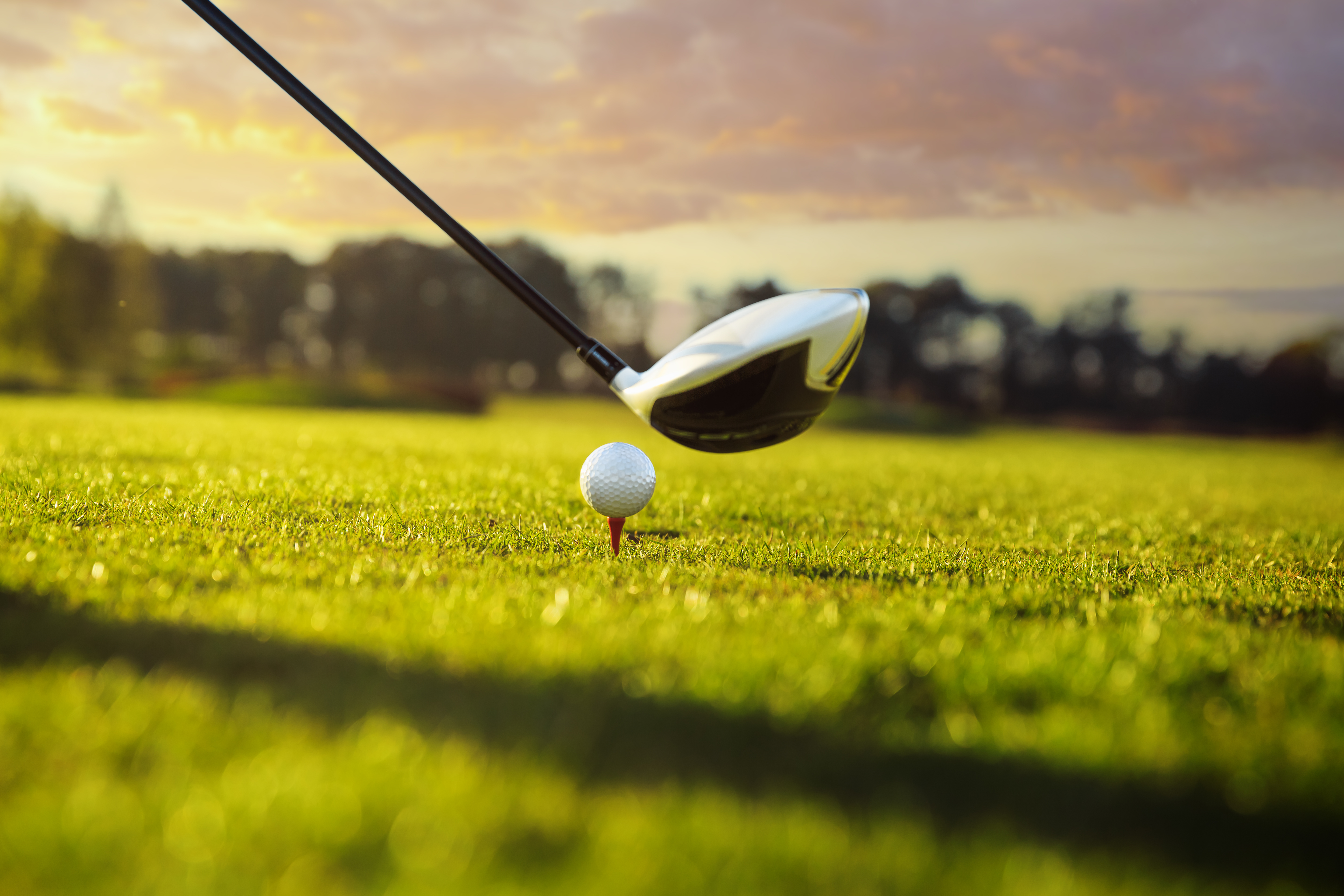 A golf club hovering over a golf ball in a park setting